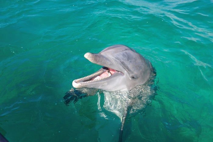 photo autotour en floride & plages des bahamas