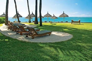 Dtendez-vous  l'ombre des cocotiers