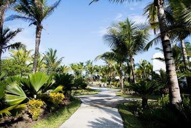 Le superbe jardin tropical de l'htel