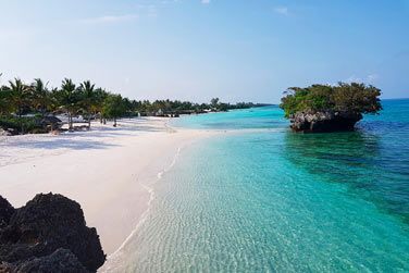 Pemba bnficie d'un environnement privilgi pour la plonge sous-marine