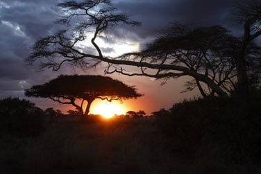 Un sjour hors du commun vous attend en Tanzanie !