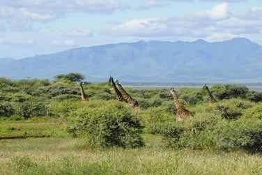 Un vritable jeu de piste qui sduira petits et grands