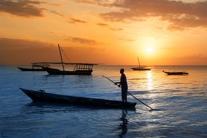 photo combin tanzanie / zanzibar - brousse & plage