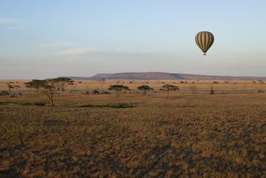Bienvenue dans la vraie savane africaine