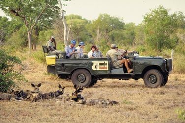 Observez la faune sauvage dans son habitat naturel
