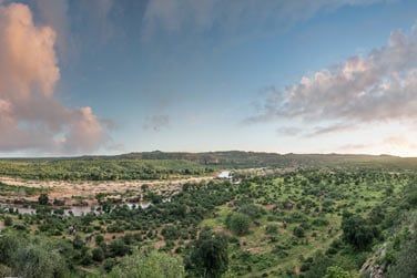 Faites le grand tour du Zululand !