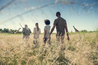 ... encore bien d'autres espces sont  dcouvrir dans les rserves du Zululand