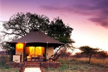 Optez pour une nuit sous une tente luxueuse... Une exprience au plus prs de la nature sauvage