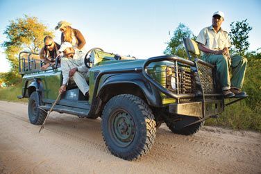 Dcouvrez la vie sauvage lors d'un safari dans le parc de Hluhluwe