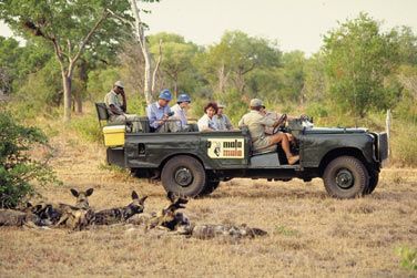 Vous pourrez y observer de nombreuses espces diffrentes