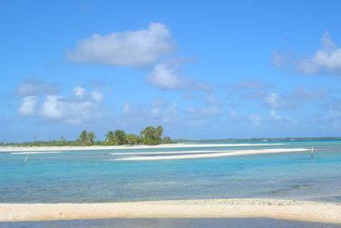 photo Los Angeles / Polynsie - Hollywood & Perles Tropicales Polynsie