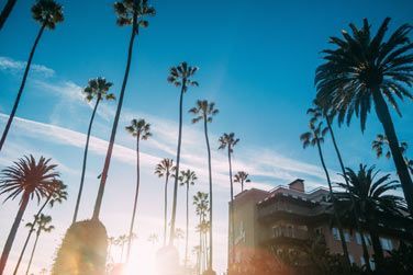photo Los Angeles / Polynsie - Hollywood & Perles Tropicales Polynsie