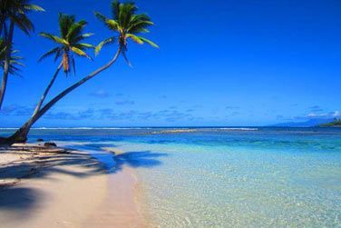 photo Los Angeles / Polynsie - Hollywood & Perles Tropicales Polynsie