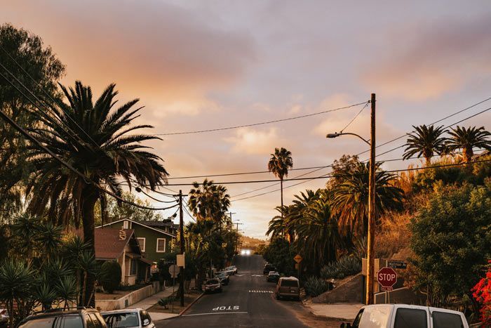 photo los angeles / polynsie - hollywood & perles tropicales