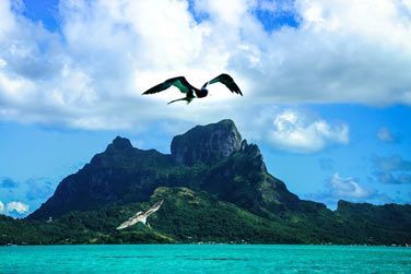 photo Combin Autotour Ouest Amricain & Lagons polynsiens Polynsie