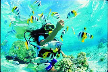 photo Combin Autotour Ouest Amricain & Lagons polynsiens Polynsie