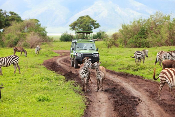 Zanzibar / Tanzanie du Sud - Dtente & Parc de Saadani