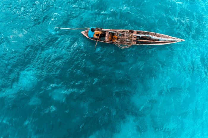 photo zanzibar / tanzanie du sud - dtente & parc de saadani