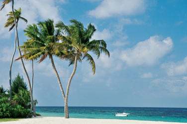 photo Four Seasons Resort Seychelles at Desroches Island Seychelles