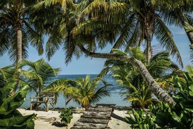 L'acs  la plage depuis le bungalow