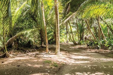 La nature luxuriante de l'le vous rserve galement de belles dcouvertes !