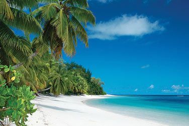 Vous aurez le choix : Bronzer ou piquer une tte