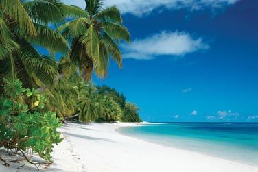 Dcouvrez cet den, o sable blanc, nature verdoyante et eau turquoise se ctoient harmonieusement