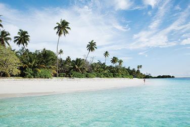 Une plage de sable blanc paradisiaque