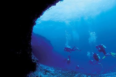 Vous aurez la chance de pouvoir explorer et dcouvrir une faune  l'tat sauvage