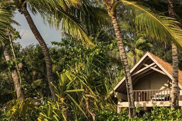 Les villas sont entoures par une belle vgtation luxuriante