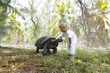 Une rencontre mythique avec la tortue gante des Seychelles !