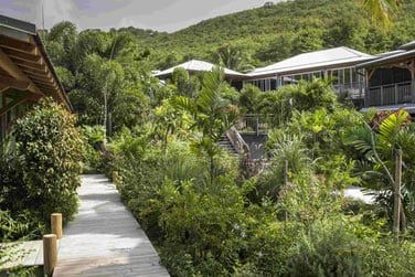 Situ sur la cte Atlantique de la Martinique...