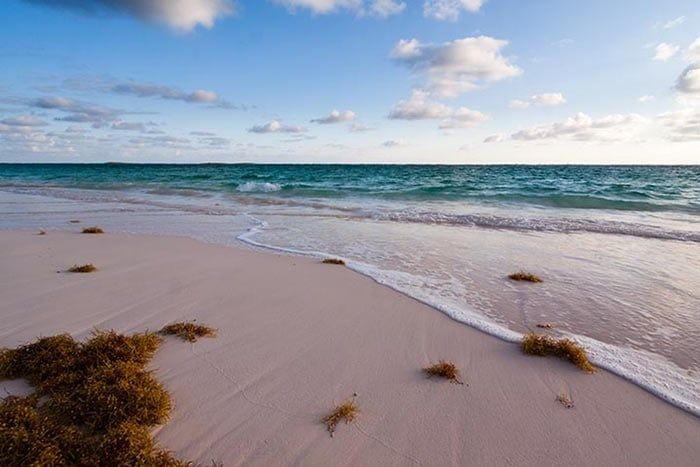 Combin 2 les Eleuthera / Harbour Island