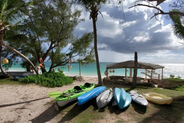 Profitez des activit�s propos�es sur place