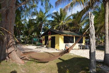 Installez-vous confortablement dans un hamac...