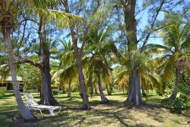 Prenez le temps de vivre sur cette le paradisiaque !