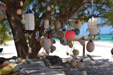 ... ou plongez dans l'immensit du lagon !