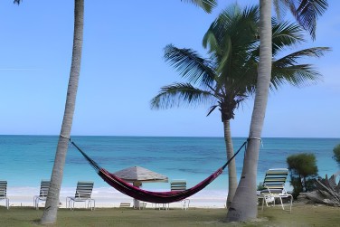 l'occasion de se poser dans un hamac