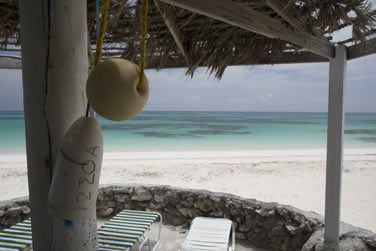 et dcouvrirez l'htel Greenwood Beach Resort!