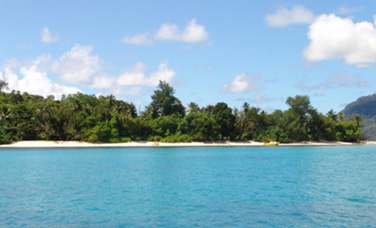 Bienvenue  l'Habitation Cerf Island