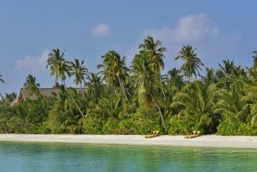 Bienvenue dans une trs belle rgion prserve, au Sud des Maldives!