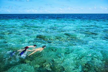 La barrire de corail se situe  seulement 40m de la plage!