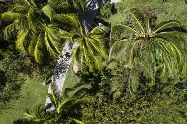 Profitez de cet environnement paisible