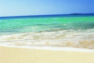 Bienvenue sur l'le de Paradise Island !