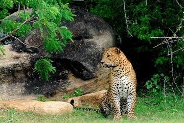 photo Shangri-La's Hambantota Golf Resort & Spa Sri Lanka