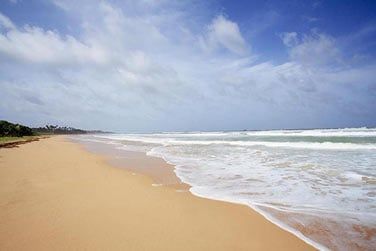 Lov entre une trs belle plage de sable blond