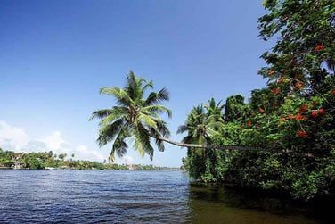 ... Et la rivire Bentota !