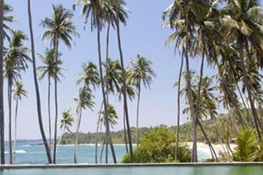 Luxe, calme et exostisme sont au rendez-vous...