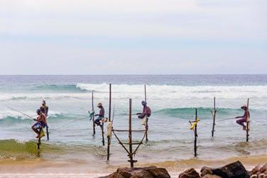 Bienvenue  Tangalle, dans un endroit calme et sauvage !