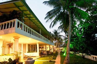 Lov dans une belle vgtation luxuriante